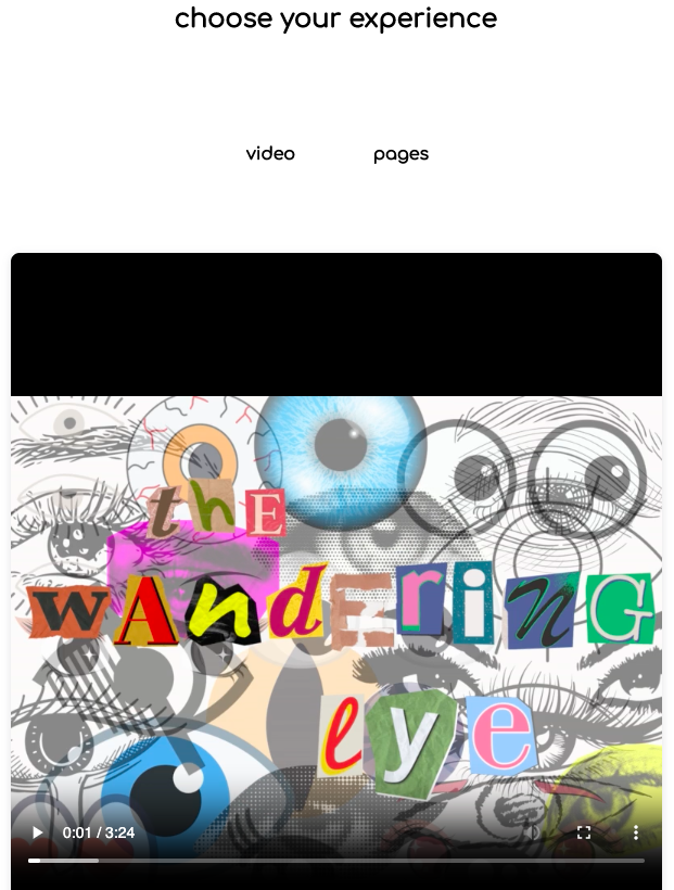 screenshot of zine selection page showing video player