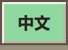 中文