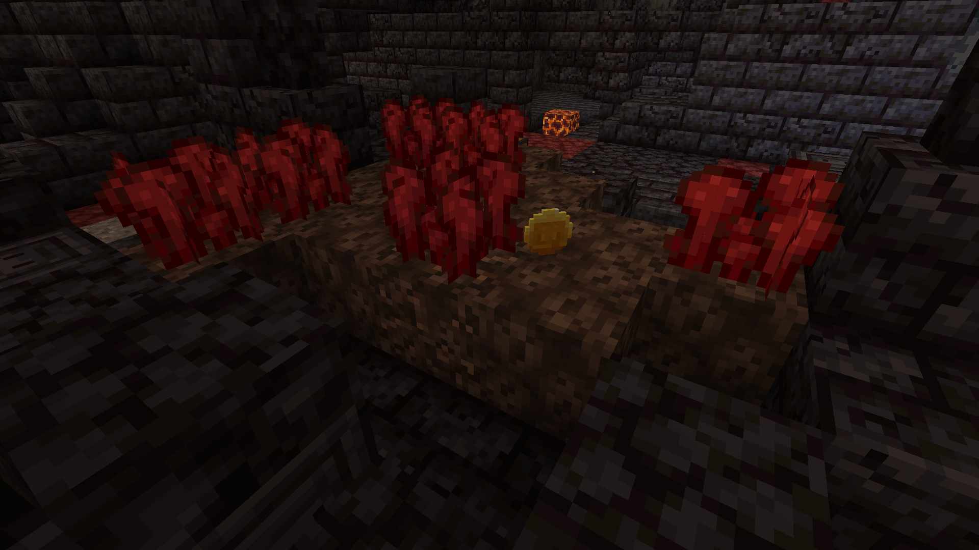 A piglin coin beside some nether wart growing on suspicious sand in a bastion