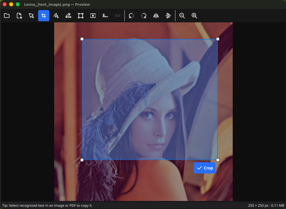 Image editing: an image with a crop selection, plus an example of a rotated or flipped image.