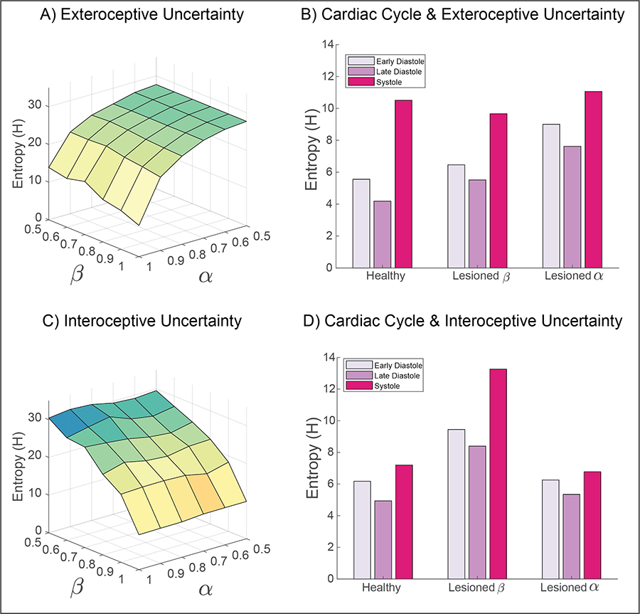 Figure 4: Simulating the influence of interoceptive and exteroceptive precision on metacognitive uncertainty. 