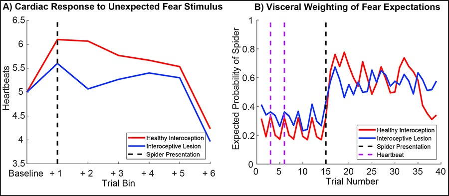 Figure 3: Simulated Physiology and Perceptual Inference