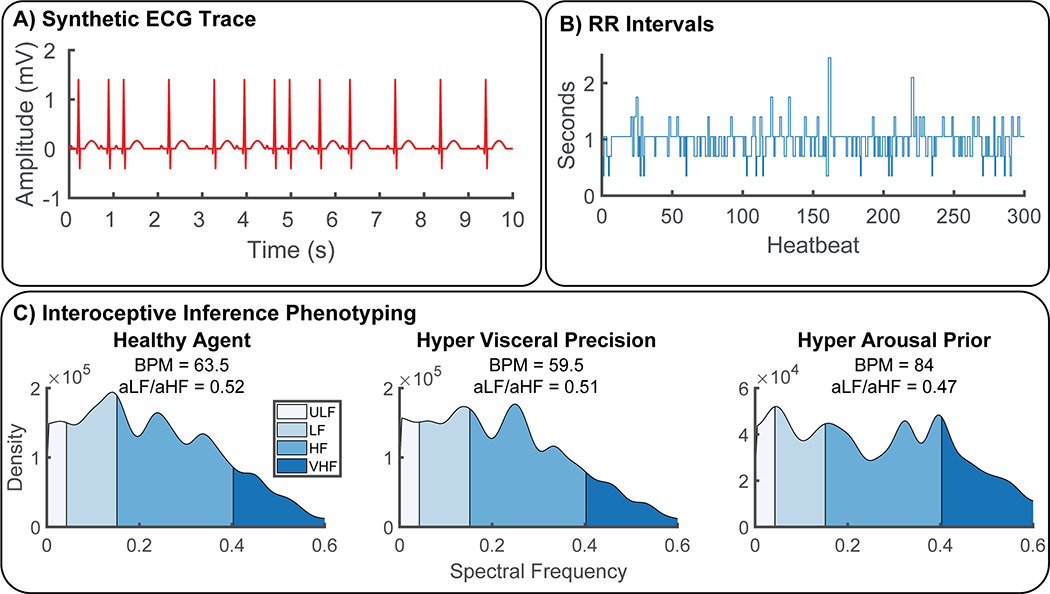 Figure 5: Synthetic Heart-Rate Variability (HRV) and Interoceptive Computational Phenotyping