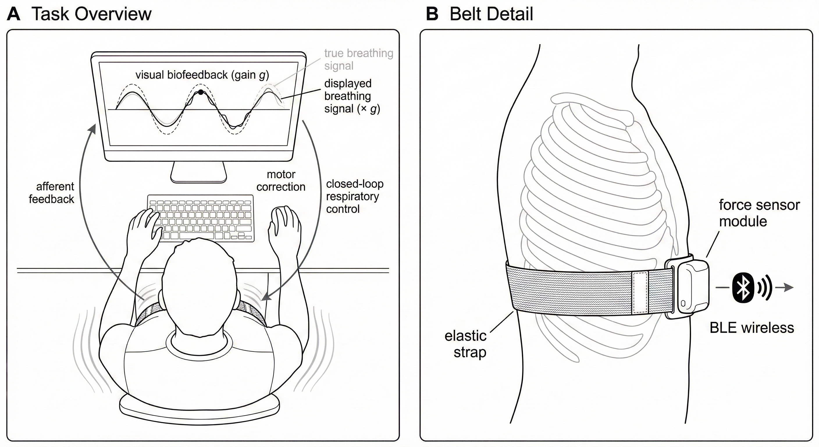 respyra task schematic