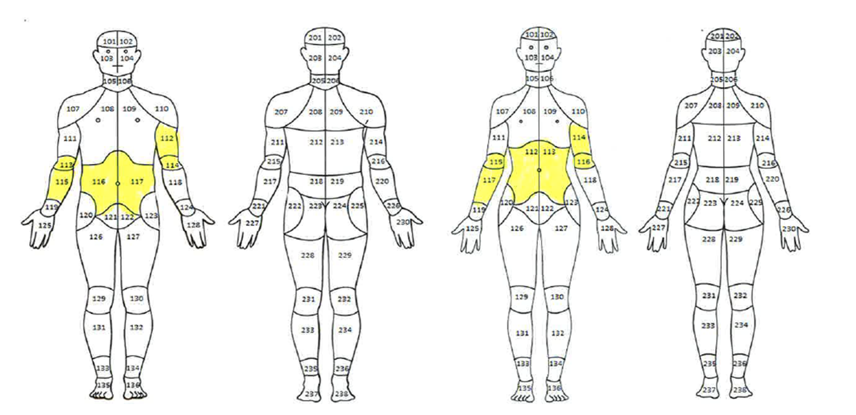 Incorrectly labeled bodymaps