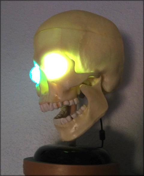 human skull with eye sockets lit up bluish and greenish