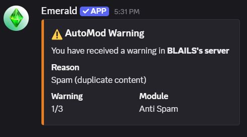 AutoMod warning example