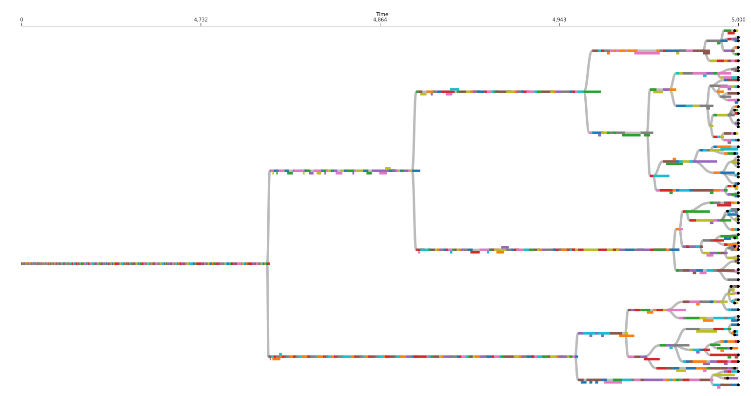 An example of a full digital evolution phylogeny