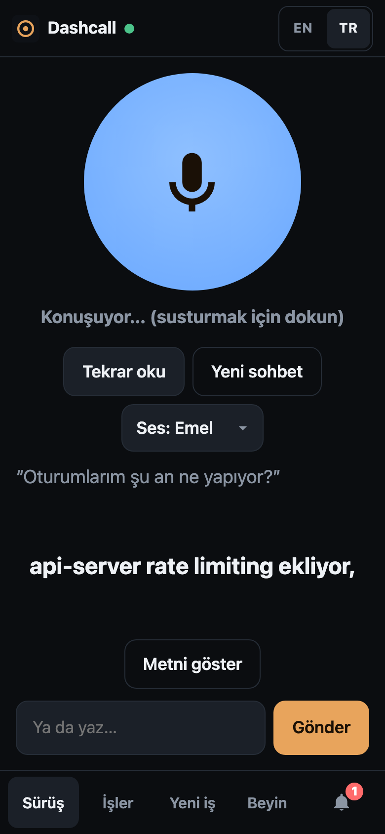 Drive mode with the Turkish interface