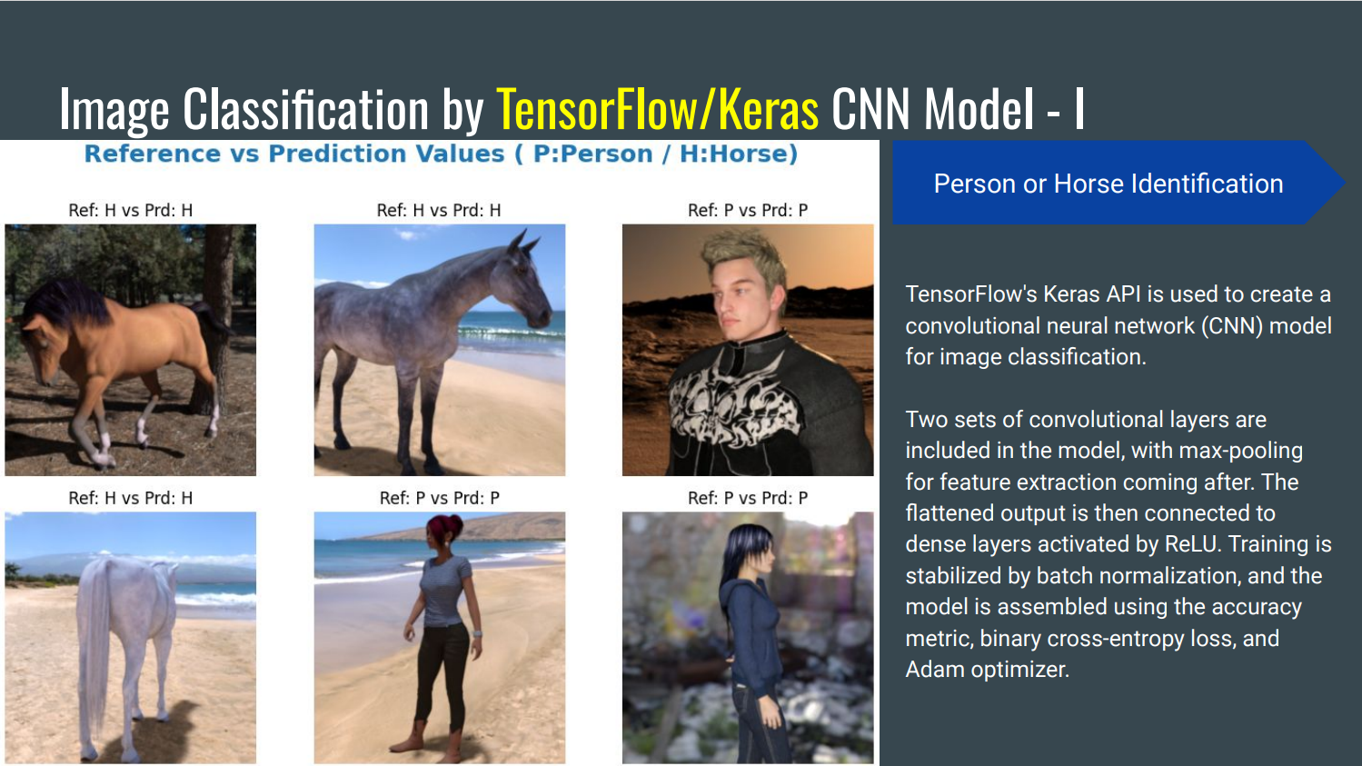 Image Classification by TensorFlow/Keras CNN Model - I