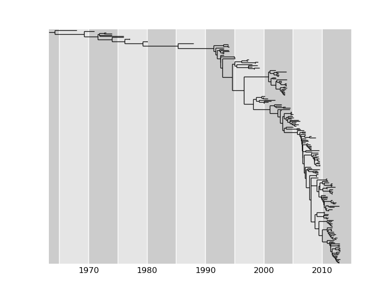 Molecular clock phylogeny of 200 NA sequences of influenza A H3N2