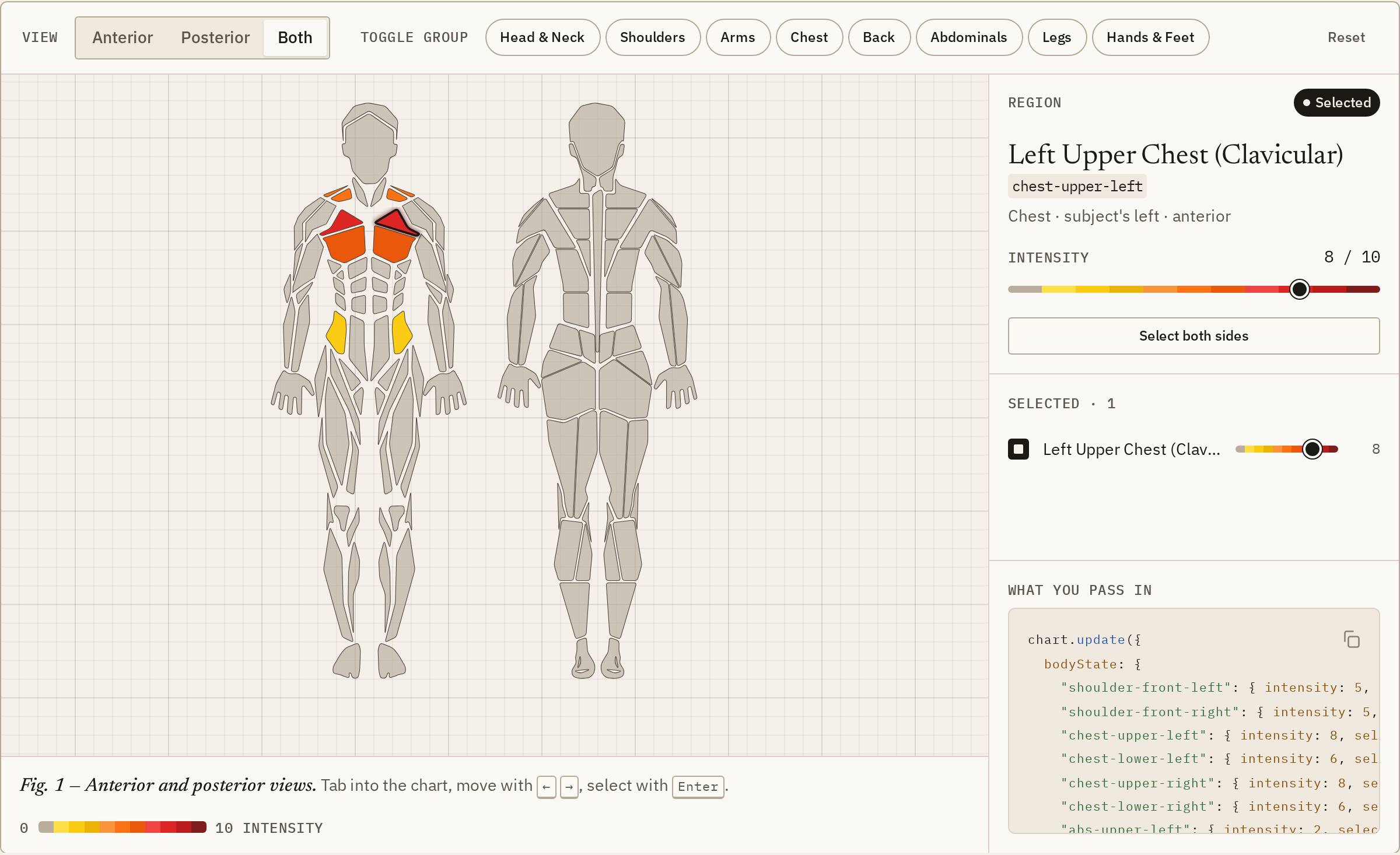 The Body Muscles playground: front and back body views with the chest and shoulders shaded by intensity, beside an inspector showing the selected region, its intensity, and the state passed to the chart.