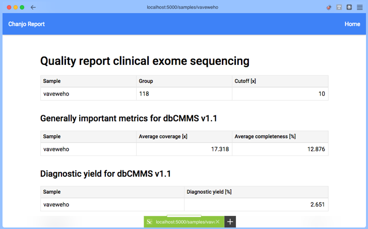 Example report (eng)