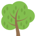 🌳