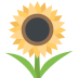 🌻