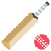 🏏
