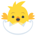 🐣