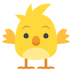 🐥