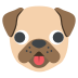 🐶