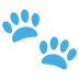 🐾