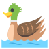 🦆