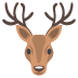 🦌
