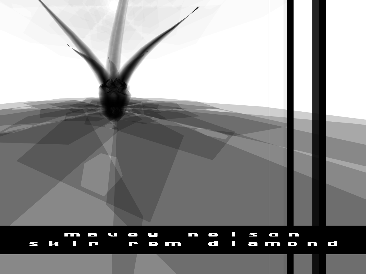 BB Image