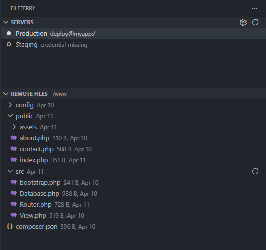 Remote Files panel