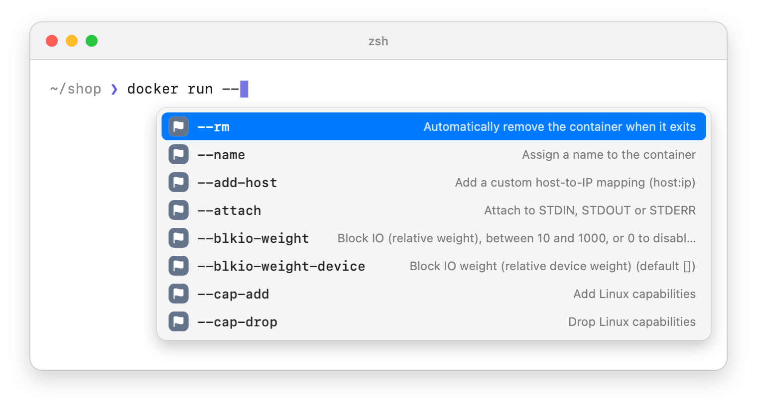 Terminal window with docker run and two dashes typed and the popup listing options with descriptions
