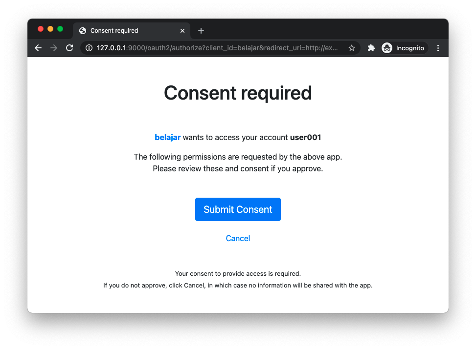 Consent Page