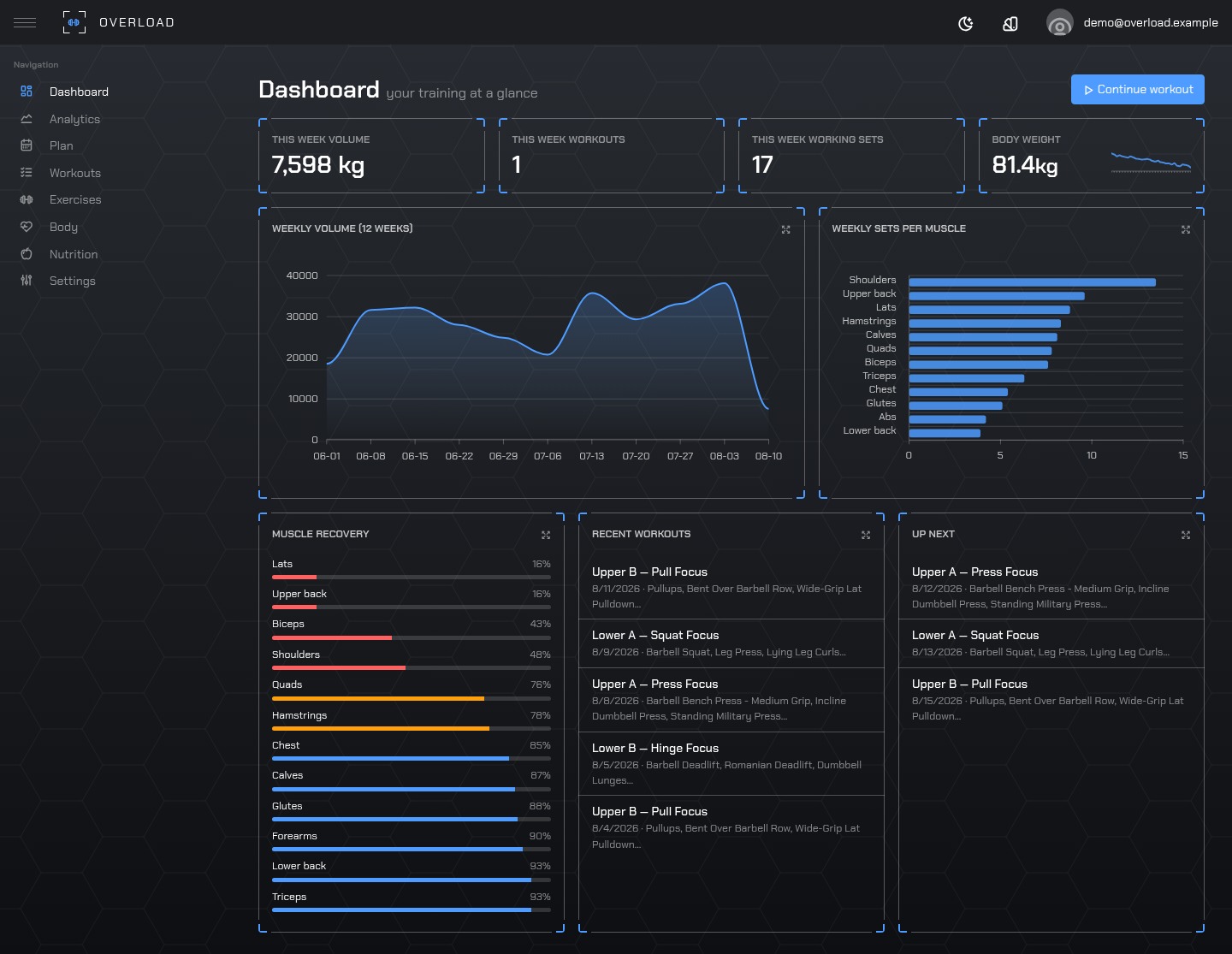 Dashboard: weekly volume, sets per muscle, muscle recovery, recent and upcoming sessions
