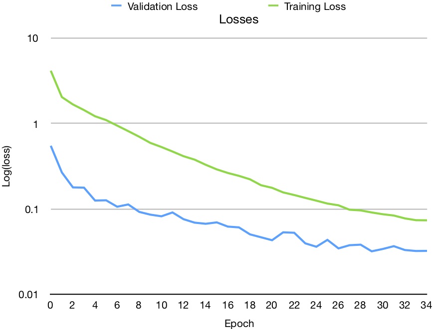 Losses Graph