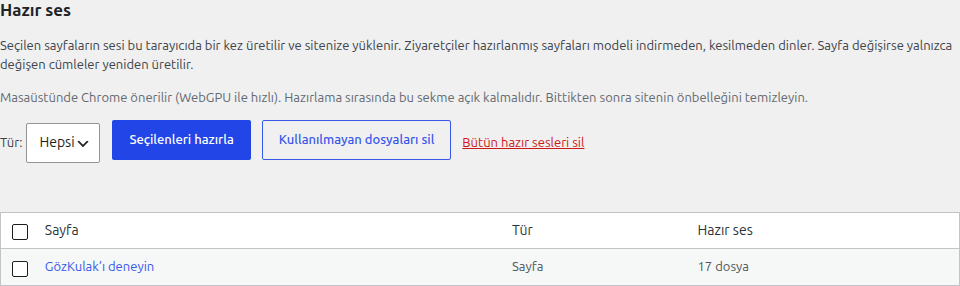 Hazır ses bölümü: Seçilenleri hazırla ve Kullanılmayan dosyaları sil düğmeleri; sayfa listesinde deneme sayfası için 17 dosya.