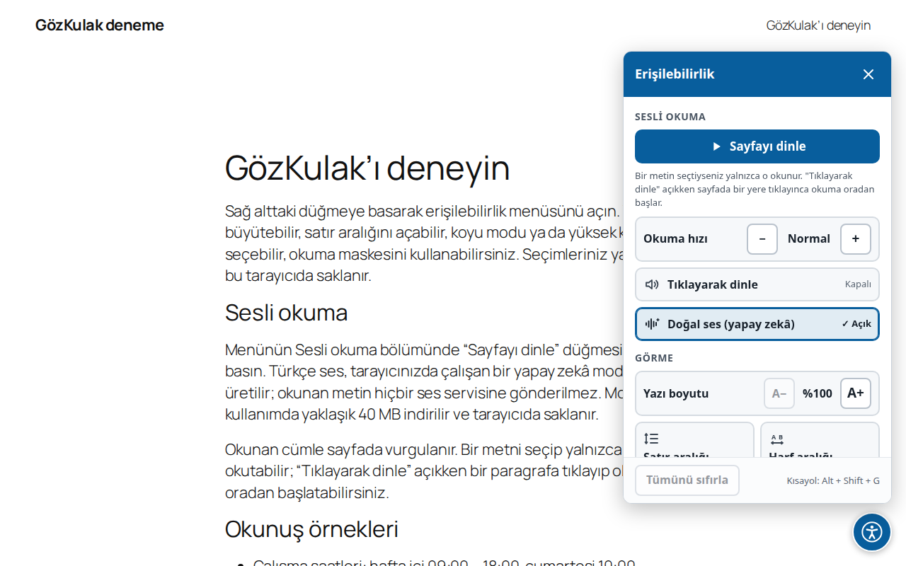 Açık menü: Sesli okuma bölümünde Sayfayı dinle düğmesi, okuma hızı, Tıklayarak dinle ve Doğal ses seçenekleri; altında Görme bölümü ve yazı boyutu.