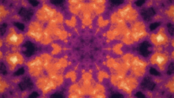 Bloom