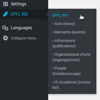 EPFL WS menu for shortcodes