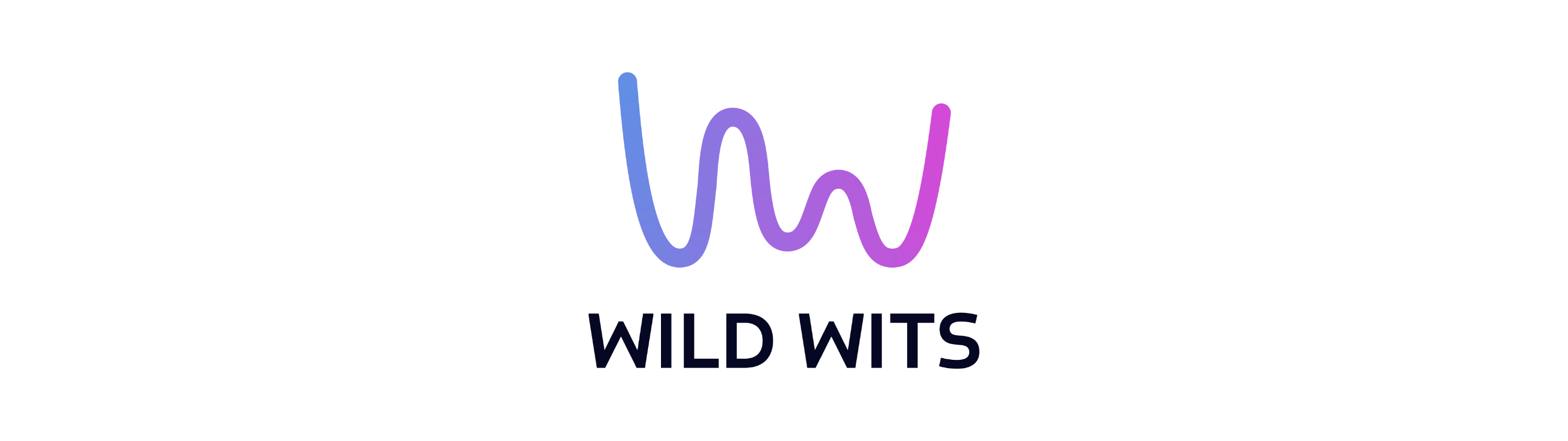WILD WITS Games