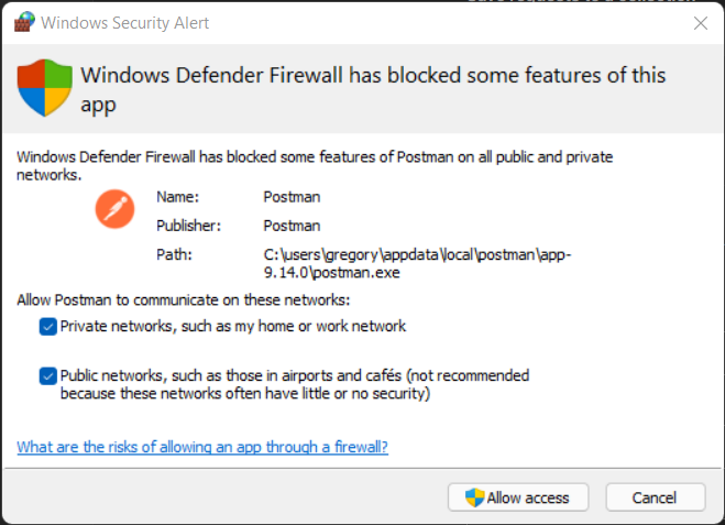 Postman proxy firewall settings