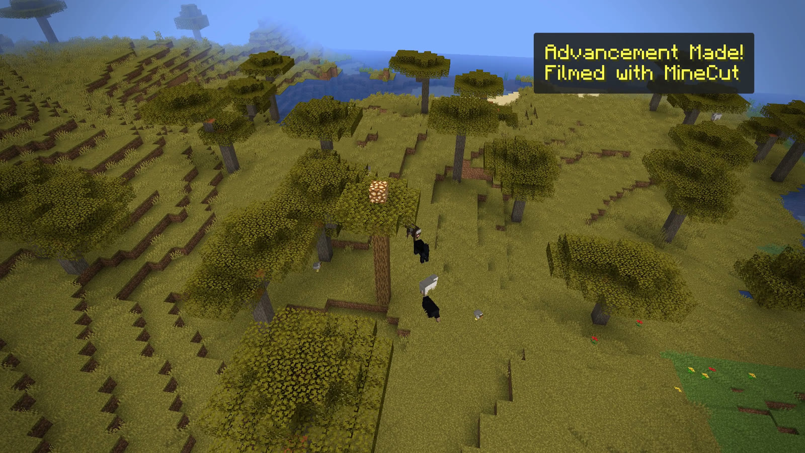 A frame from a video exported with MineCut