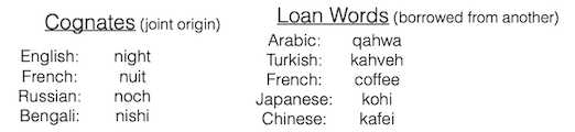 similar word roots