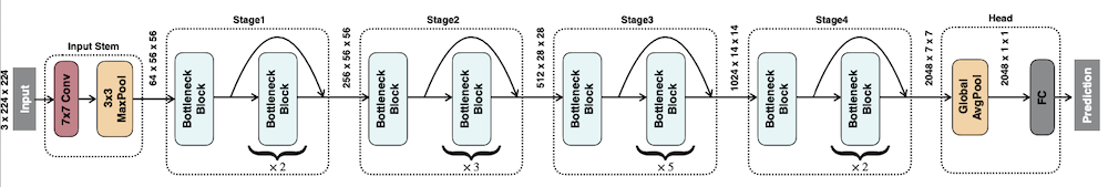input stem, head, stages