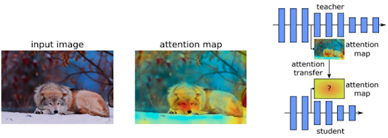 attention transfer