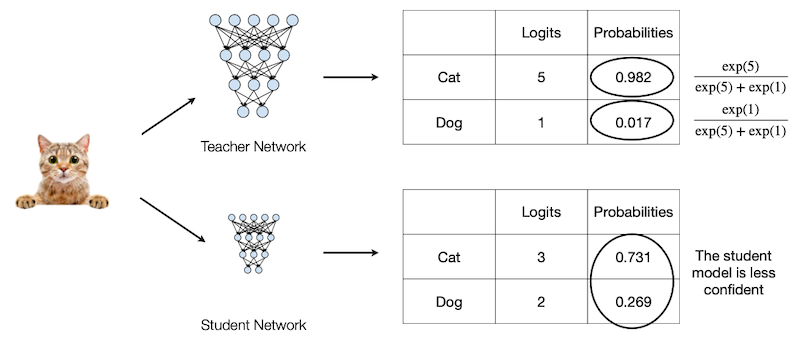 knowledge distillation ex 1