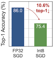 INT8 SGD performance drop