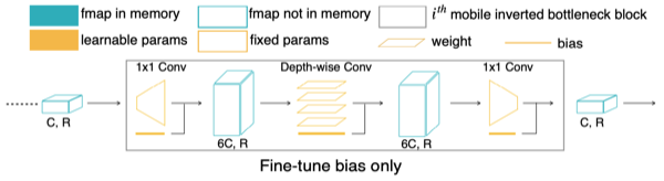bias-only fine-tuning