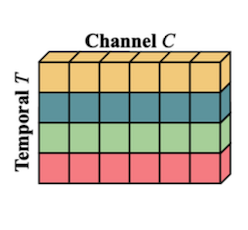 original tensor