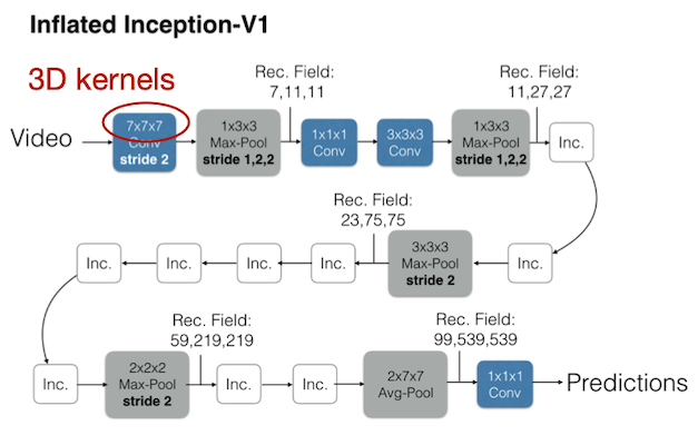inflated inception-v1