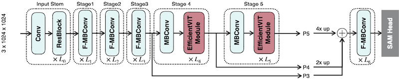 EfficientViT-SAM architecture