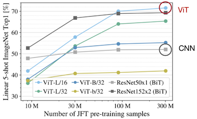 vit image classification results