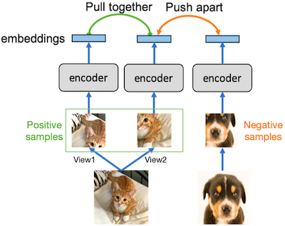 contrastive learning